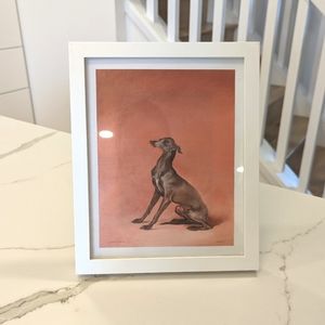 Framed art | surprised Iggy (Italian Greyhound) dog